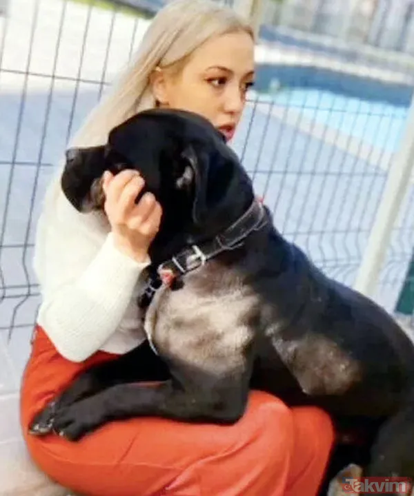 Gaziantep'te iki "pitbull"un minik Asiye Ateş'e saldırısıyla ilgili iddianame hazırlandı: Köpekler silah olarak nitelendirildi - 2