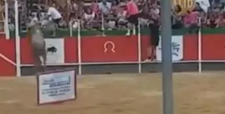 İspanya'da tribüne atlayan boğa 17 kişiyi yaraladı-3