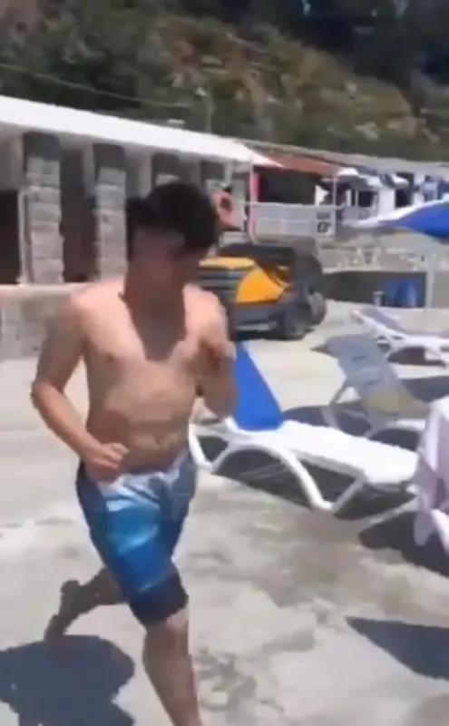 Denizde pitbull dehşeti! İstanbul'da korkunç ölüm