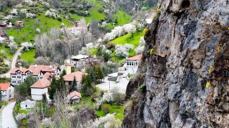 sert-kayalari-delip-gecen-sari-mucize-draba-cicegi-yagmurun-bereketiyle-daha-fazla-acti-1778229713037.jpg Sert kayaları delip geçen sarı mucize: Draba çiçeği yağmurun bereketiyle daha fazla açtı-4