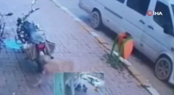 1639002317312.jpeg Köpeğin başına gelmeyen kalmadı! Minibüs ezdi sonra dubayla vurdular-3