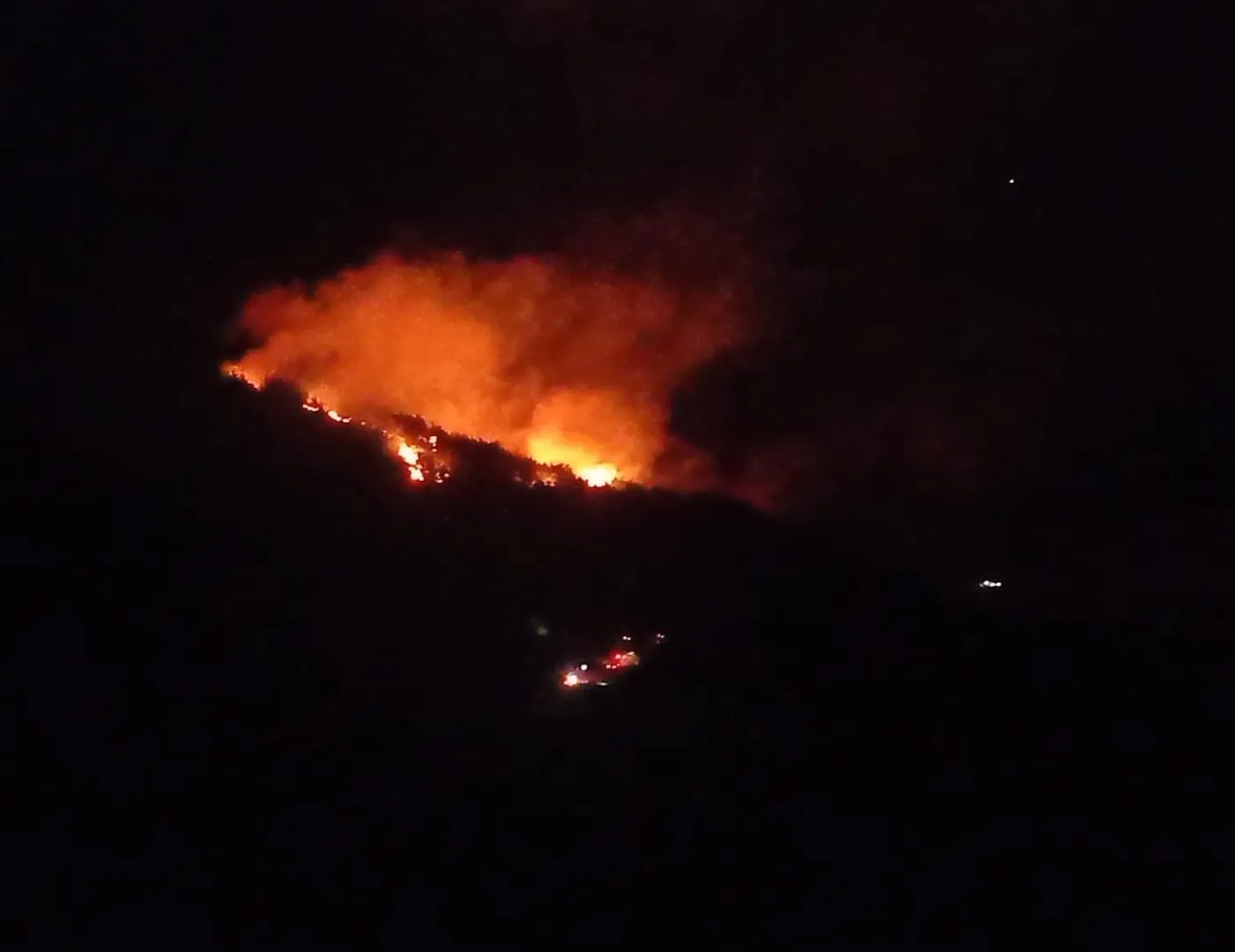 Adana’da orman yangını