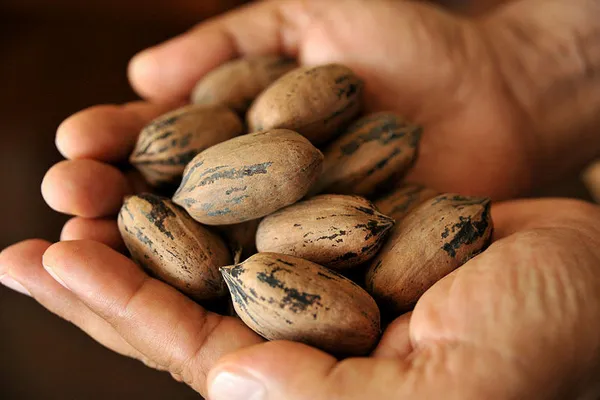 Sipariş yağıyor! Mühendisliği bıraktı parayı buldu!-2