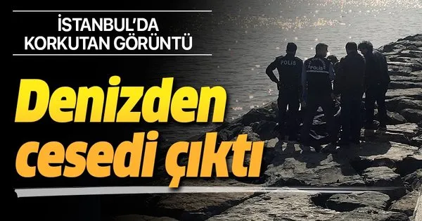 Son Dakika Zeytinburnu Sahilinde Denizden Erkek Cesedi Cikarildi Takvim