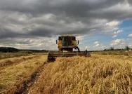 Tarımsal destek ödemeleri başladı mı? Mazot, gübre, hububat, baklagil destek ödemeleri saat kaçta yatacak?