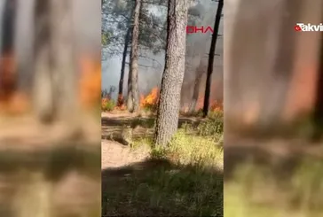 Sultangazi’de orman yangını