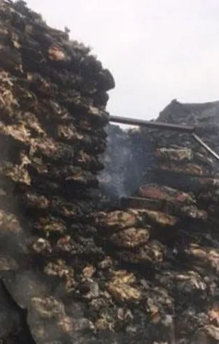 Son dakika: Şanlıurfa'da tavuk eti yüklü TIR alev alev yandı