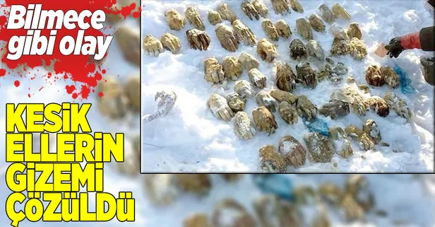 Kesik halde bulunan 54 elin sırrı çözüldü