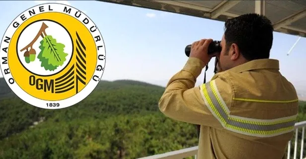 OGM ve TMO'ya en az ortaöğretim mezunu mülakatsız memur alımı başvuru şartları nedir? 4500 lira maaş verilecek!