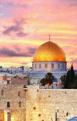 Esas bakacağımız yer Suudi Arabistan mı?