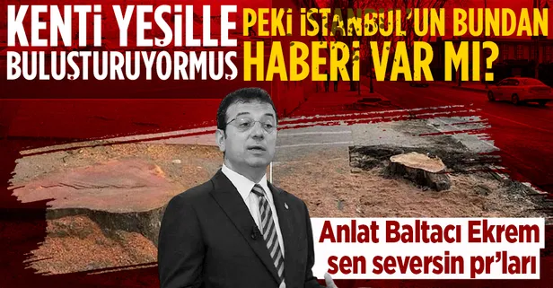 Ağaçları katleden İmamoğlu kendisiyle çelişti! İstanbul'u yeşille buluşturmuşlar