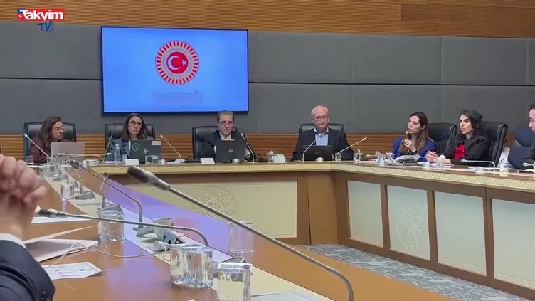 Google’den TBMM’de şirket yapısı açıklaması!