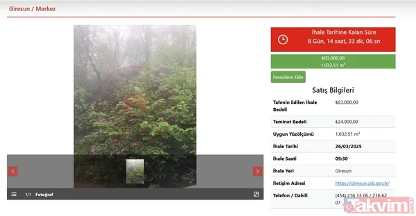 1 dönüm arsa 83 bin liraya satışta! Milli Emlak onlarca ilde arazi satıyor! - 2