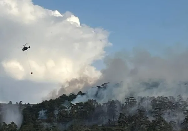 bolu-antalya-bingol-ve-eskisehirde-yangin-dort-ilde-alevlere-havadan-ve-karadan-mudahale-suruyor-1692120342178.jpeg Çok sayıda ilde yangın! Alevlere havadan ve karadan müdahale sürüyor-9