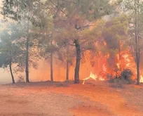 Yangınlarda 25 bin futbol sahası kadar orman kül oldu
