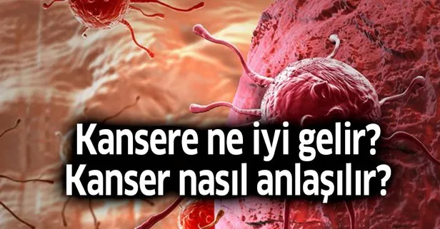Kansere ne iyi gelir? Kanser nasıl anlaşılır?