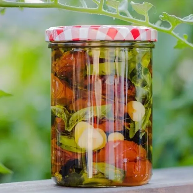 Can düşmanı konserve