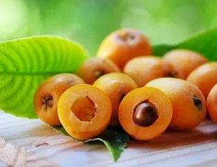 Dünya kadar faydası var