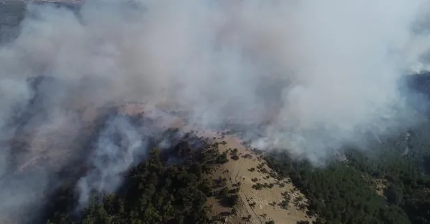 Son dakika: İzmir’de orman yangını sürüyor! İki mahalle boşaltıldı