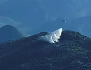 2 dönüm ormanlık alan yandı