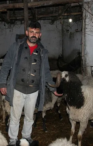 Manisa'daki depremi koyunlar önceden hissetti mi? Şoke eden video