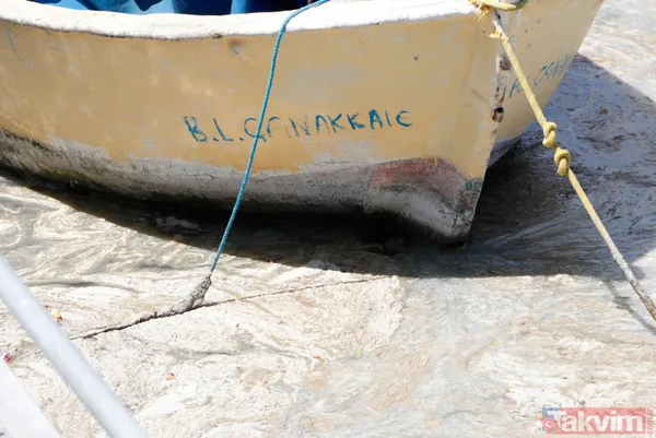 Müsilaj (deniz salyası) ticareti de etkiledi! Balık satışları durdu - 18