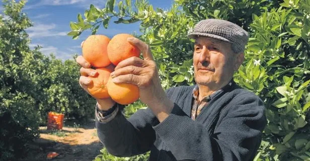 İhracatın yıldızı yaş sebze-meyve