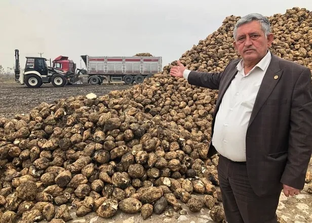 Şekerdeki zammın sebebi stokçular: Bağımlılık bitti üretim tam gaz! Depolar ağzına kadar dolu-4