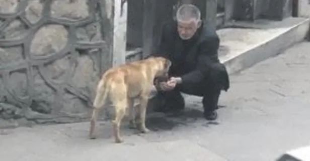 Aksaray’da taksici Refik Kotuk yolda gördüğü bir köpeğe elleriyle su içirdi