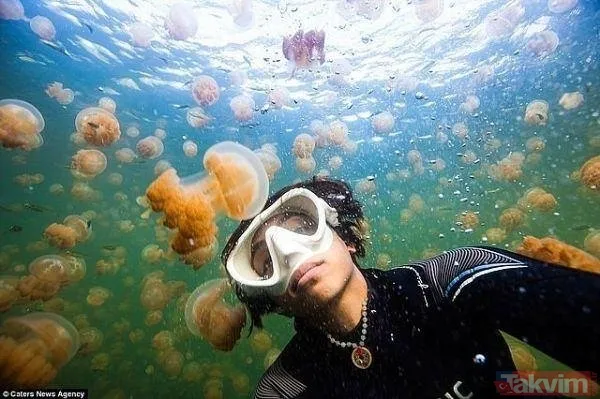 Sadece selfie çekmek istemişti! Başına öyle bir şey geldi ki... - 13