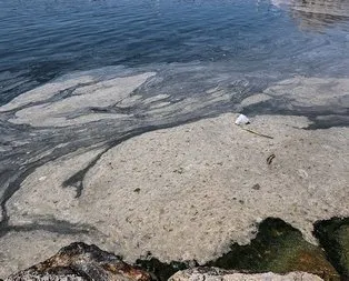 Marmara istila altında! İşte ilk müsilaj raporu