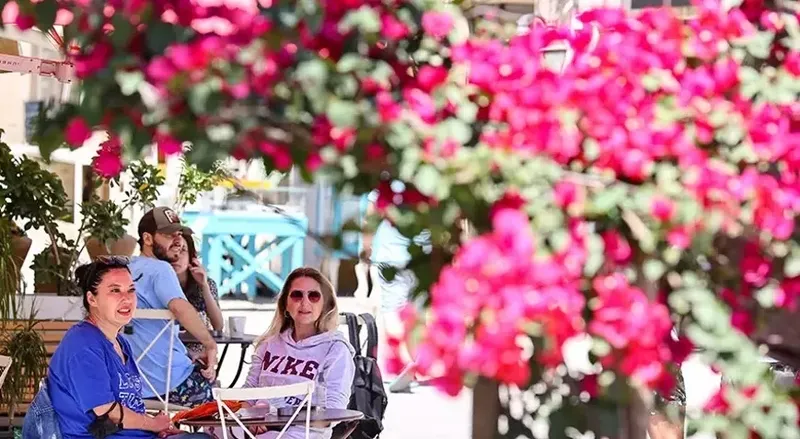 bahar-kapiyi-caldi-meteorolojiden-bol-gunesli-harita-sicakliklar-4-derece-birden-artiyor-1773117095772.jpeg Bahar kapıyı çaldı! Meteoroloji'den bol güneşli harita: Sıcaklıklar 4 derece birden artıyor-11