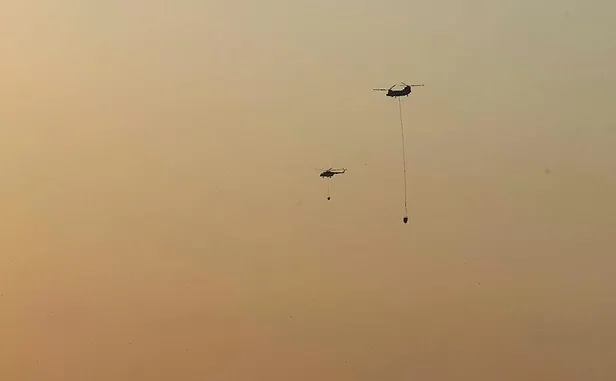 Aydın Söke'de orman yangını kontrol altında!-3