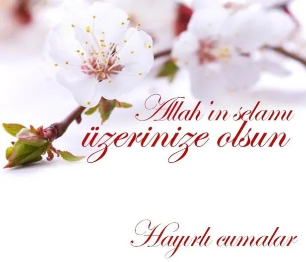 Hadisli, dualı, resimli Cuma mesajları 2022! 13 Mayıs Whatsapp, SMS uzun ve kısa, ayetli, güzel ve anlamlı Cuma mesajları!-4