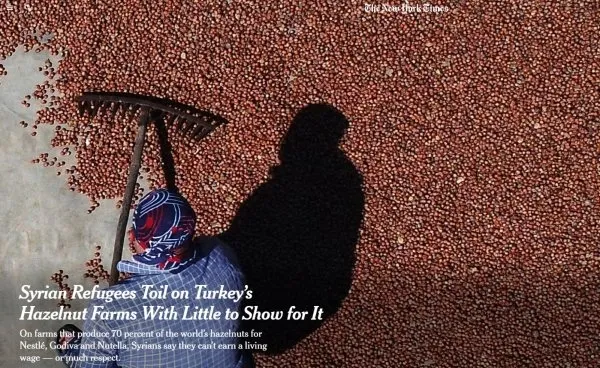 New York Times'tan skandal boykot çağrısı: Türkiye’den fındık almayın-2