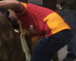 Metrobüse aslan soktular