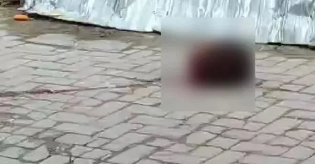 Zeytinburnu cinayeti videosu Twitter'da olay yarattı! Tartıştığı kişinin kafasını kesip balkondan atan adam yakalandı mı? Kesik kafa cinayeti son dakika