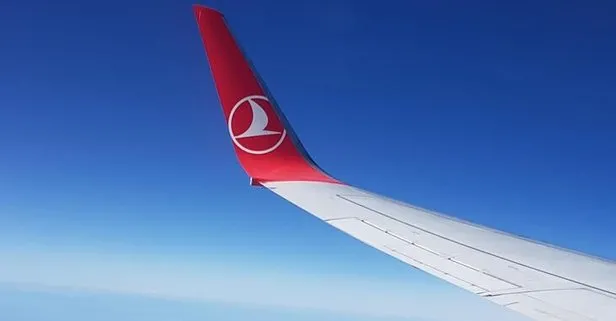 Grev uçuşları vurdu