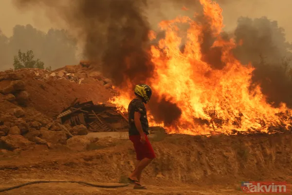 Kan kaybeden PKK, Türkiye'nin ormanlarını yakıyor: Yunanistan'da eğitim gördüler hedeflerinde turistik bölgeler var - 29