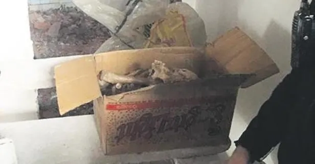Adana'da satın aldığı evde, kafatası ve insan kemiklerine ulaşıldı