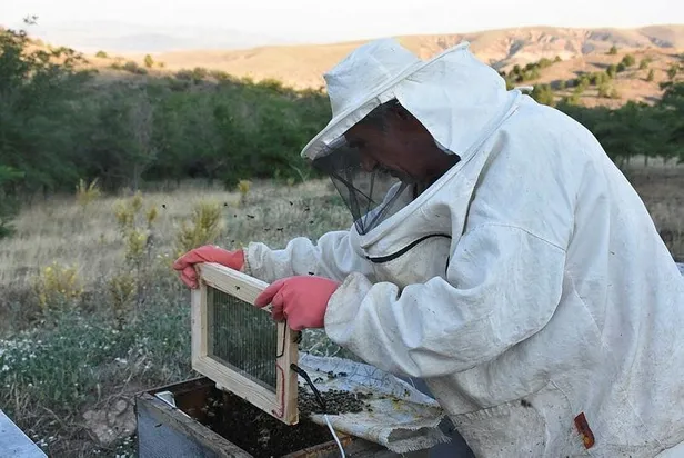 Arının balı da şifa, zehri de şifa: Kilosu 500 bin Türk Lirası!-2