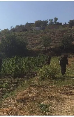 Diyarbakır'da PKK'nın finans kaynağına ağır darbe