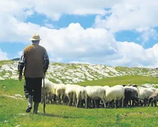 Çoban Yıldızı