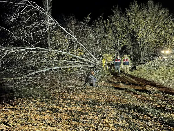 erzincanda-ibretlik-olay-kestigi-agacin-altinda-kalarak-oldu-1636221395805.jpg Erzincan’da ibretlik olay! Kestiği ağacın altında kalarak öldü-2