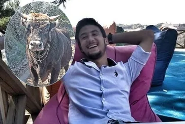 Boğa son güreşini sahibiyle yaptı