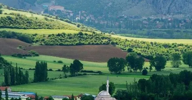 Son Dakika Tokat Ta 1 Koy Karantinaya Alindi Takvim