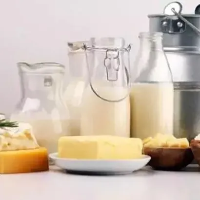 Egzamanın çözümü kefir