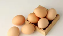 Binbir türlü faydası ortaya çıktı! Yumurta kabuğunu sakın çöpe atmayın! Kimse bilmiyordu