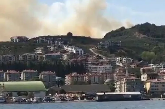 Son dakika:  Bursa'da orman yangını