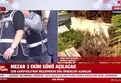 Cem Garipoğlu'nun mezarı 3 Ekim'de açılacak